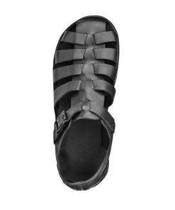 Zephyrattire.shop576a623b7b 2